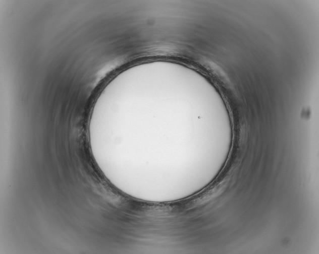 X0000089831210200707262017