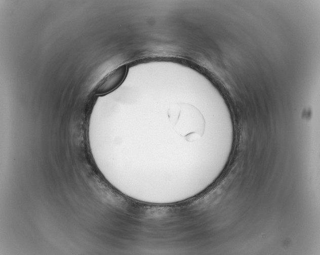 X0000089831211200707262017