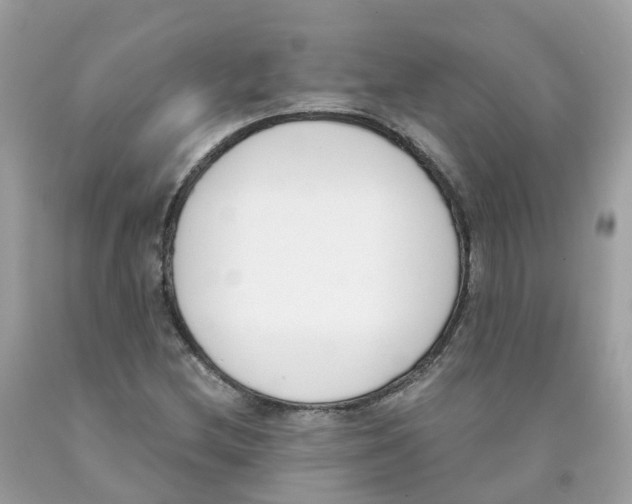 X0000089831212200707262017
