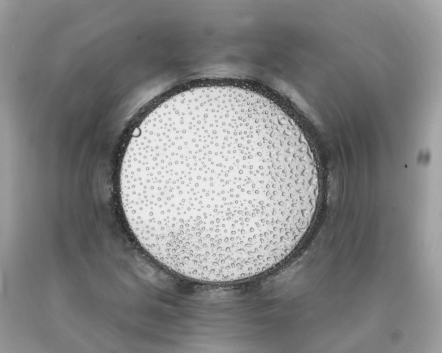 X0000089831213200707262017