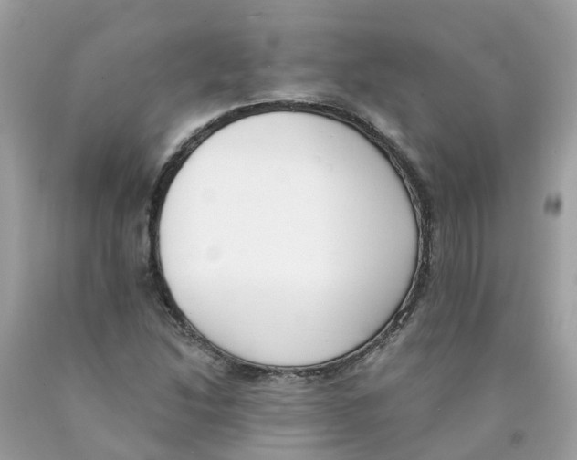 X0000089831214200707262017