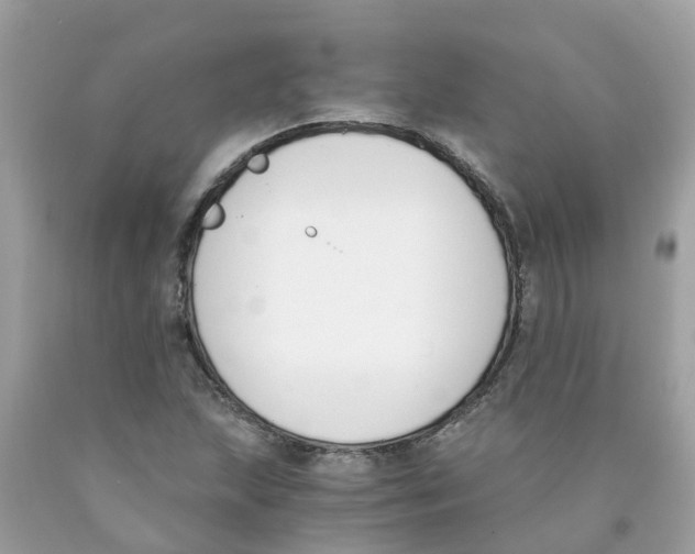 X0000089831215200707262017