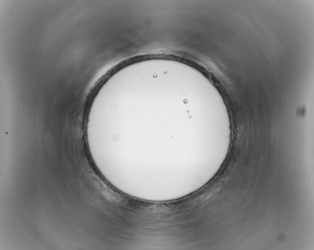 X0000089831216200707262017