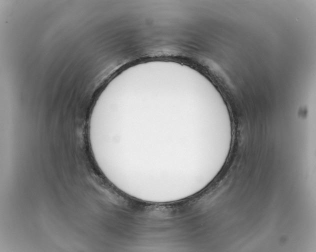 X0000089831217200707262017