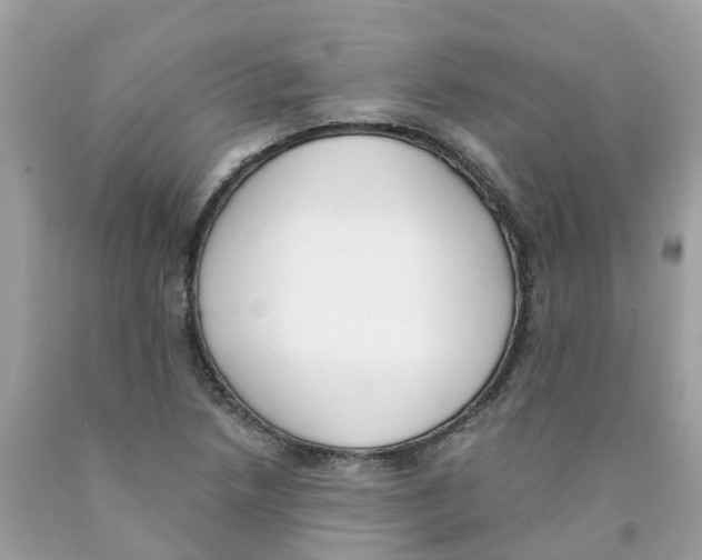 X0000089831218200707262017