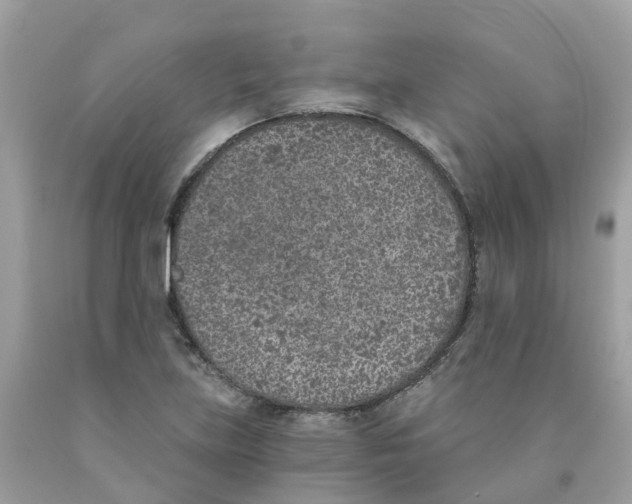 X0000089831219200707262017