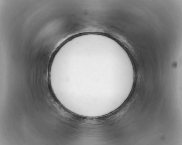 X0000089831220200707262017