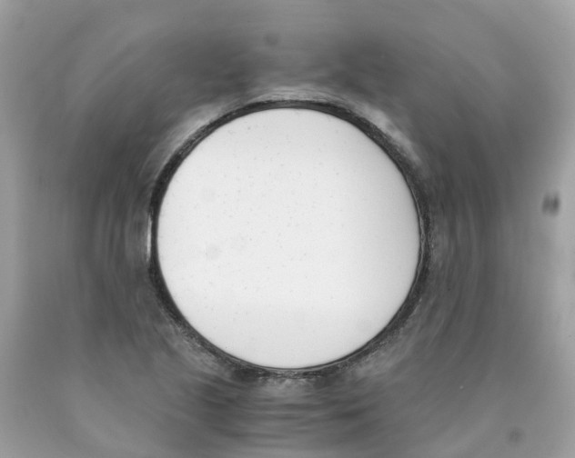 X0000089831221200707262017