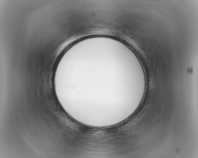 X0000089831222200707262017