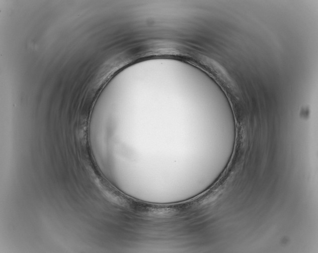 X0000089831225200707262017