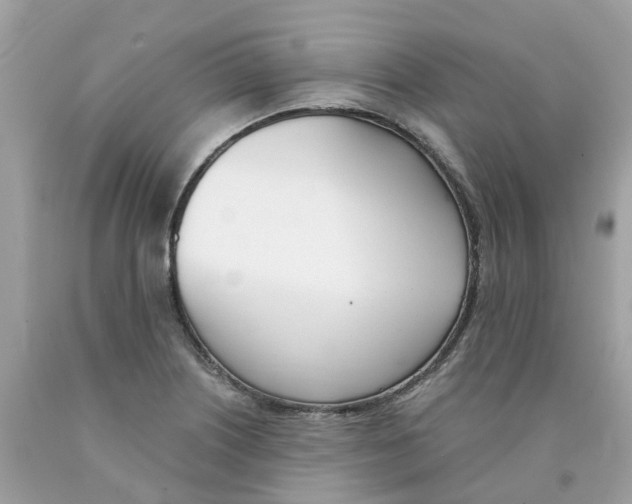 X0000089831226200707262017