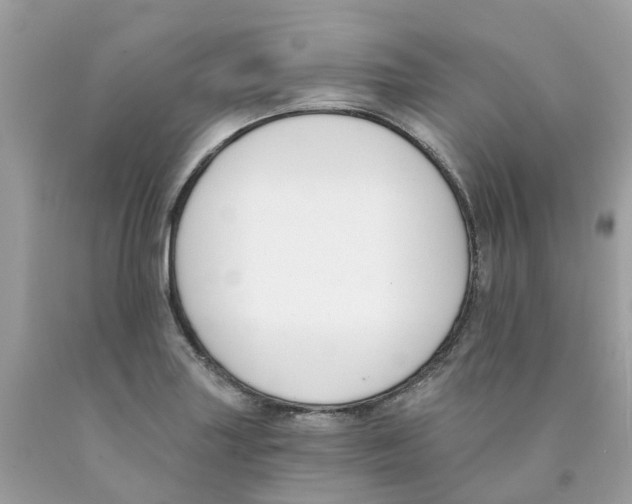 X0000089831227200707262017