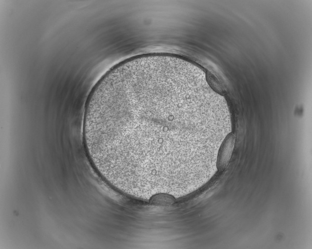 X0000089831228200707262017