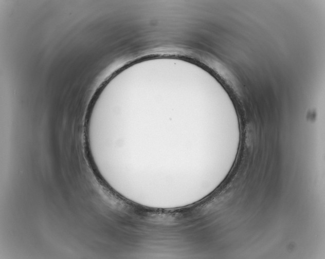 X0000089831229200707262017