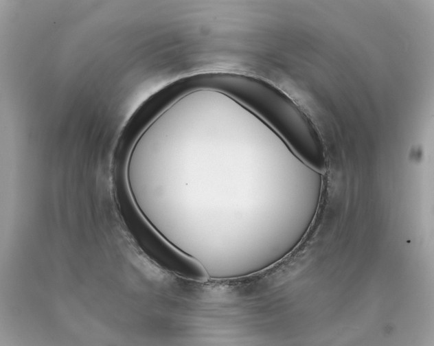 X0000089831230200707262017