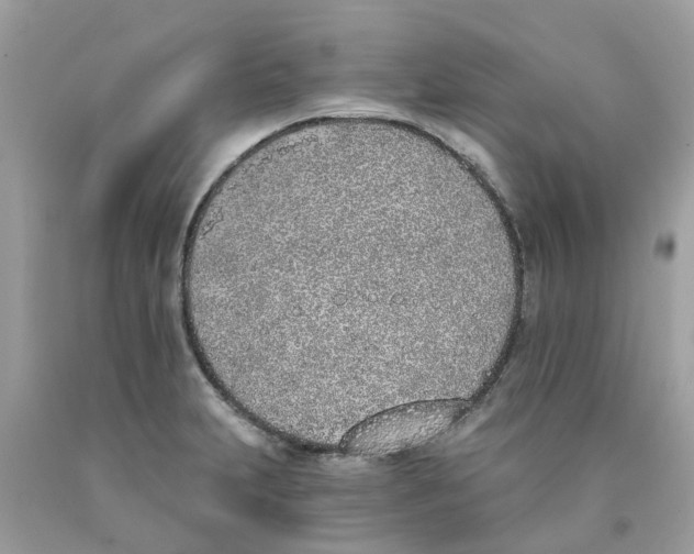 X0000089831231200707262017