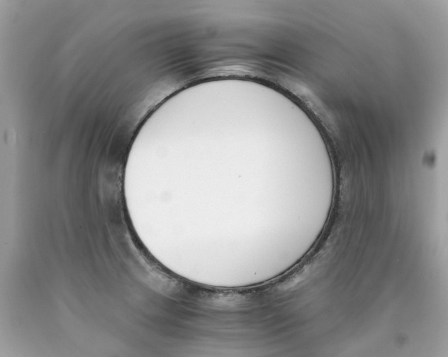 X0000089831233200707262017