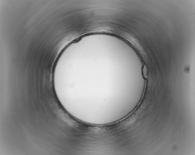 X0000089831234200707262017