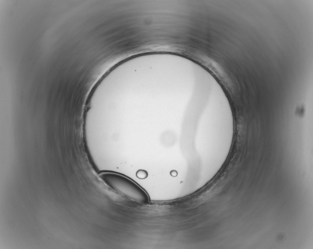 X0000089831236200707262017