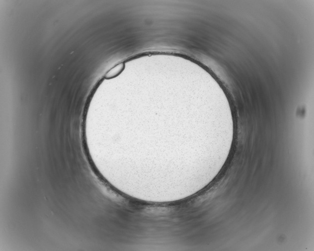 X0000089831237200707262017