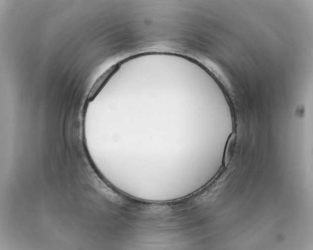 X0000089831238200707262017