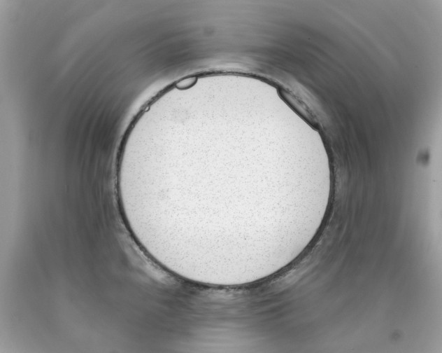 X0000089831240200707262017