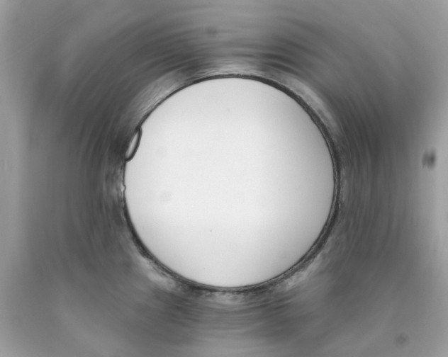 X0000089831241200707262017