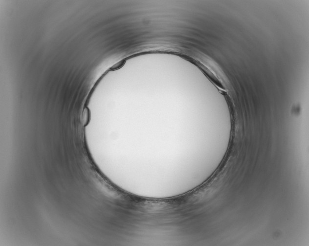 X0000089831242200707262017