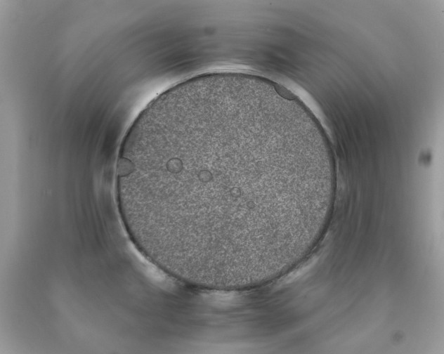 X0000089831245200707262017