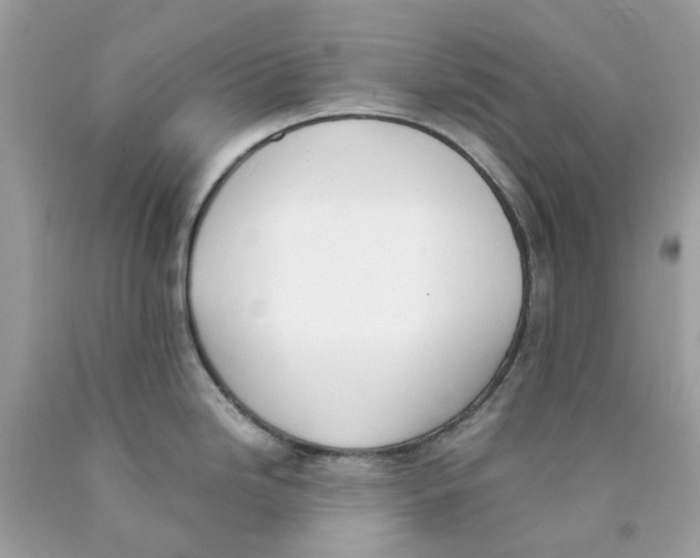 X0000089831246200707262017