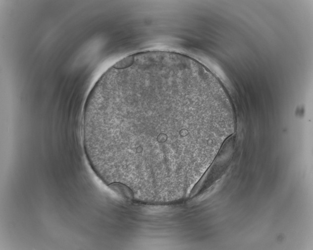 X0000089831247200707262017