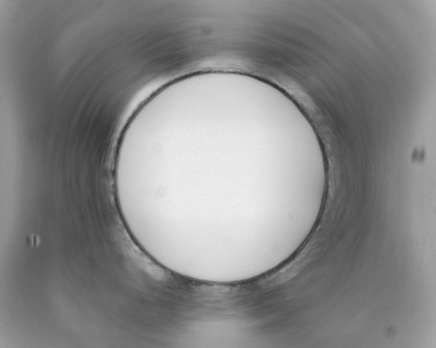 X0000089831248200707262017