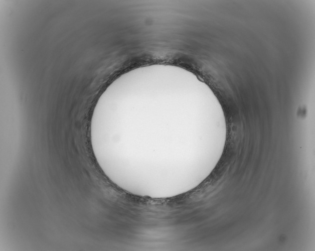 X0000089831249200707262016
