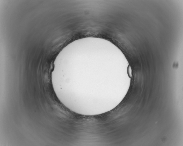 X0000089831250200707262016