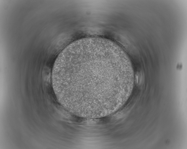 X0000089831251200707262016