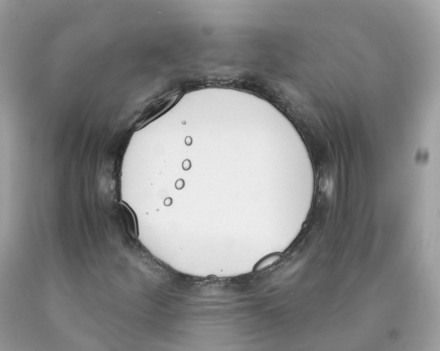 X0000089831252200707262016