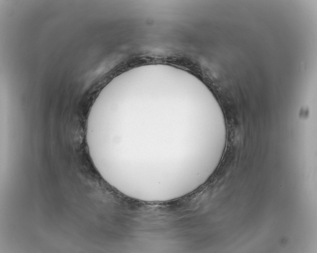 X0000089831253200707262016