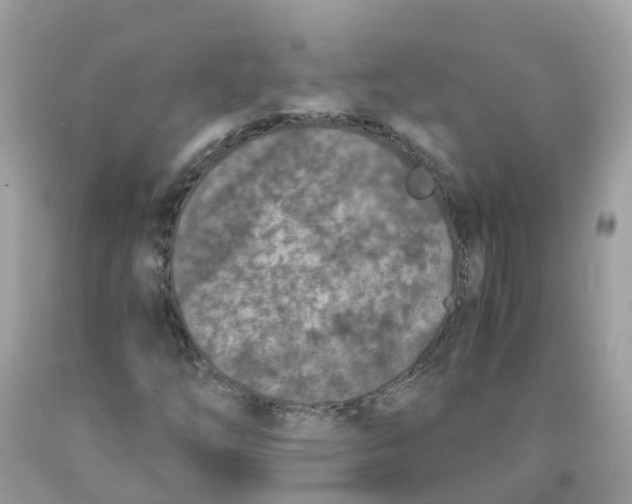 X0000089831254200707262016