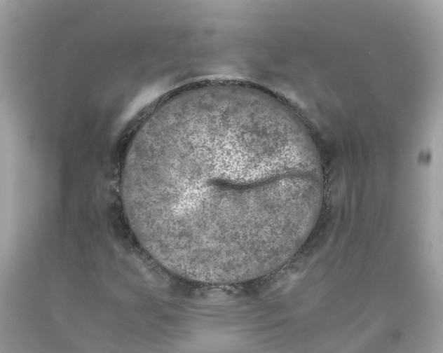 X0000089831255200707262016