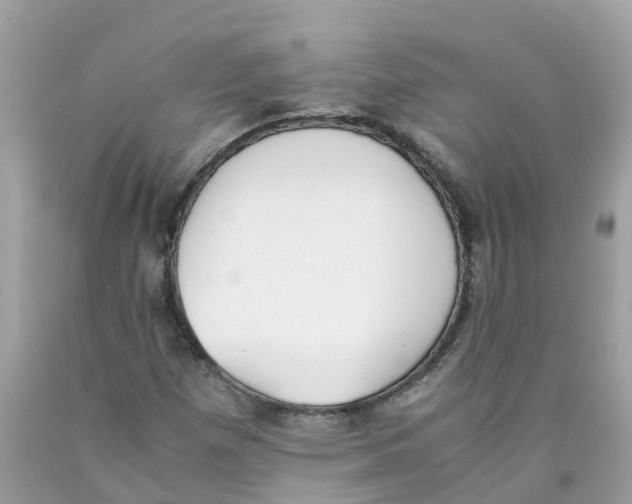 X0000089831257200707262016