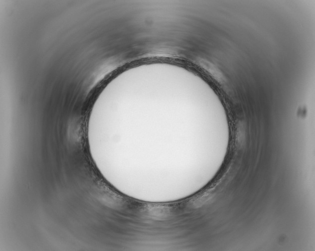 X0000089831258200707262016