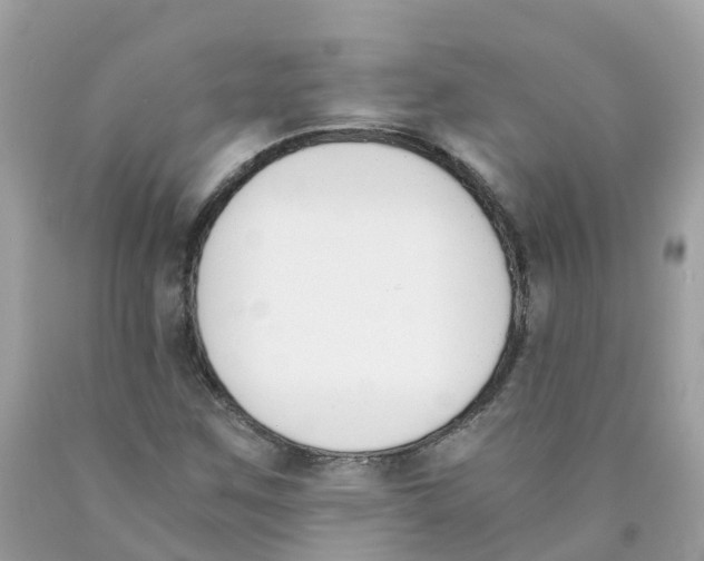 X0000089831259200707262016