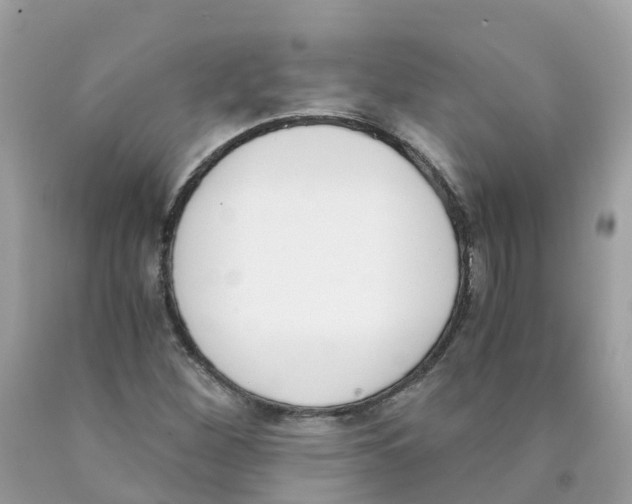 X0000089831260200707262016