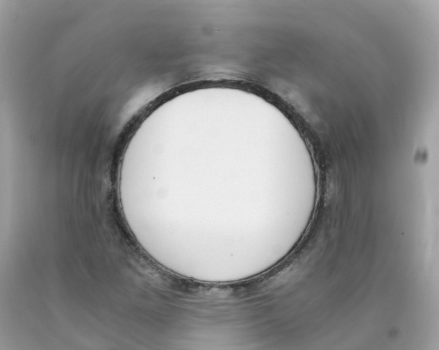 X0000089831261200707262016