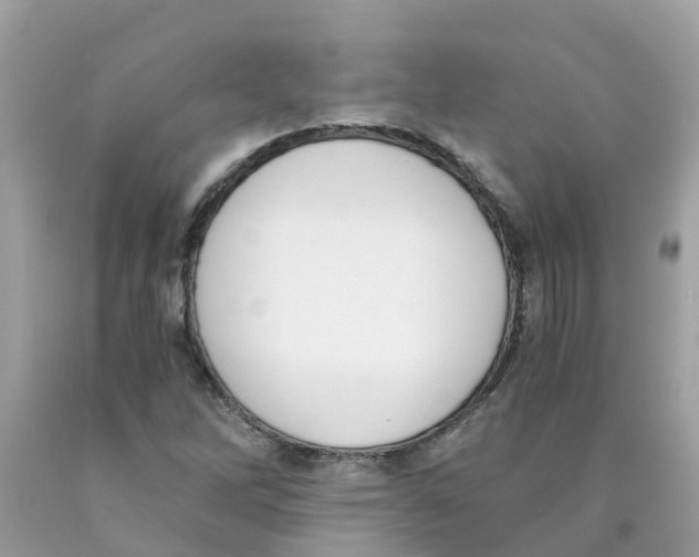 X0000089831262200707262016