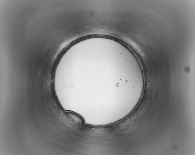 X0000089831264200707262016