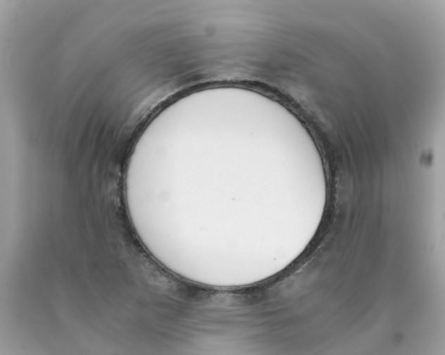 X0000089831265200707262016