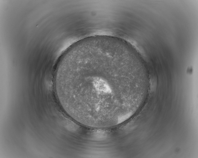 X0000089831266200707262016