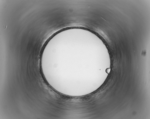 X0000089831268200707262016