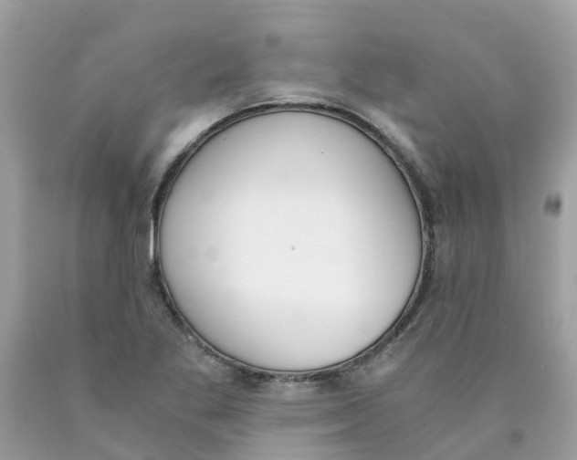 X0000089831269200707262016